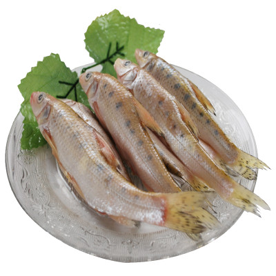 爱食派洪泽湖特产天然野生马鲫鱼新鲜冷冻/500g包邮买一送一