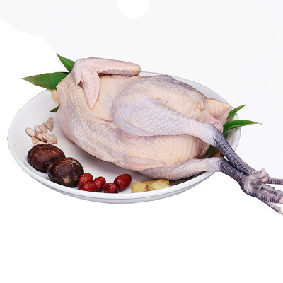 爱食派 苏北农家乌羽草母鸡老母鸡 整只鸡重1200g-1600g 成长期2年